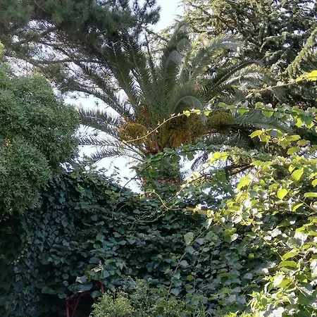 Appartamento Uccello Del Paradiso *