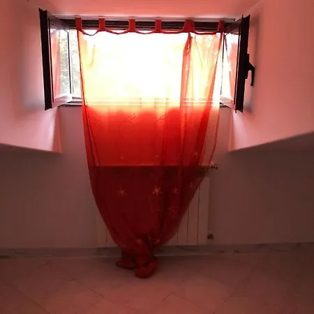 Uccello Del Paradiso Zafferana Etnea