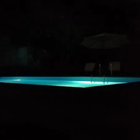 Uccello Del Paradiso Zafferana Etnea